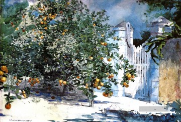  Baum Kunst - Orange Tree Nassau aka Orangenbäume und Tor Realismus Maler Winslow Homer